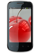 Best available price of Celkon A19 in Armenia