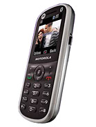Best available price of Motorola WX288 in Armenia
