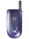 Best available price of Motorola V66i in Armenia